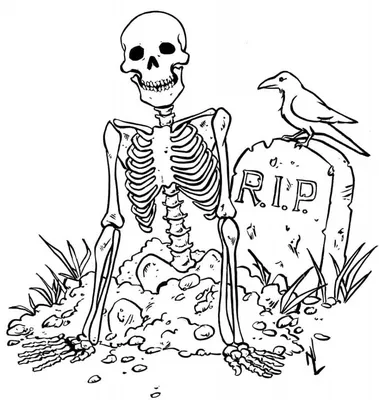 Набор Танцующего Скелета Хэллоуин — стоковая векторная графика и другие  изображения на тему Скелет человека - Скелет человека, Танцевать, Анатомия  - iStock