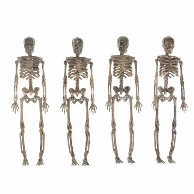 Лента с изображением скелета на Хэллоуин | праздничные ленты | оптовый  производитель лент | KING YOUNG