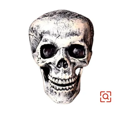 Скелет рисунок на хэллоуин - 65 фото