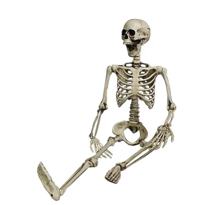 Скелет на хэллоуин рисунок - 69 фото