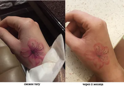Купить 77 шт милые девушки тату детские временные татуировки искусство для  женщин водонепроницаемые наклейки на пальцы M3D0 | Joom