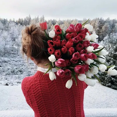 Купить Цветы на новый год \"Цветы на снегу\" в Москве по 4550 ₽ арт – 14857