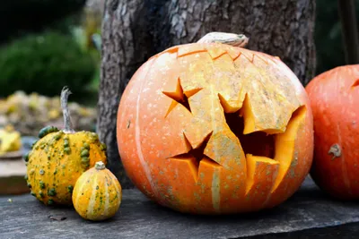 Страшные тыквы на хэллоуин с глазами на столе дома | Премиум Фото
