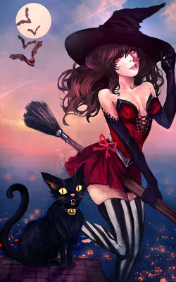 Фото Ведьмочка на метле парит возле черной кошки, сидящей на крыше