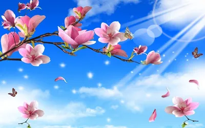 Обои весна, дерево, природа, акварельные краски, расцвет Full HD, HDTV,  1080p 16:9 бесплатно, заставка 1920x1080 - скачать картинки и фото