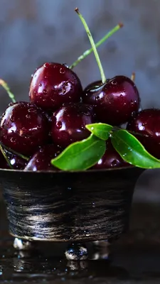 Обои вишня, фрукты, пища, растение, клюква на телефон Android, 1080x1920  картинки и фото бесплатно