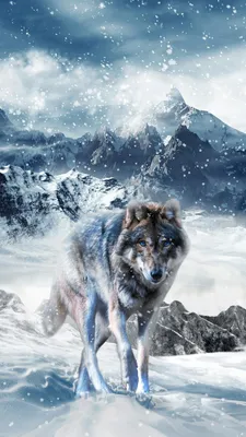 Обои на телефон волк 1080×1920, скачать картинки волки | Zamanilka | Черные  волки, Иллюстрации карт, Японские рисунки волны