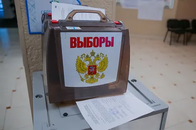 В Приморье созданы все условия, чтобы выборы Президента России были  открытыми и законными - Общественная палата Приморского края