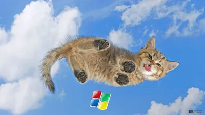 Windows XP, а комфорт Windows 7