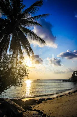 Красивый Закат Над Морем На Ко Панган Стоковые Фотографии | FreeImages