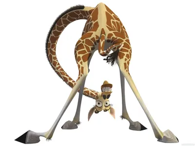 Жираф Мелмо смотрит назад под ногами — Рисунки на аву | Жираф, Мадагаскар,  Мультфильмы