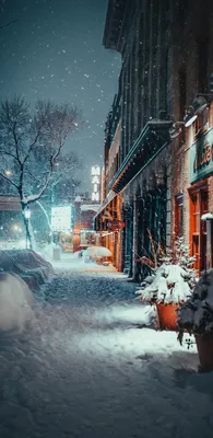 Улица, снегопад, зима Обои 1440x2960 Samsung Galaxy S8, S8+, Note 8, S9,  S9+, Note 10 / Pixel 3 XL / LG G6