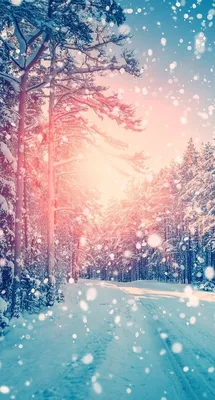 Скачать Зимний Рай Живые Обои 1.2.0 для Android