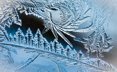 Морозные узоры на стекле рисунки | Художества, Узоры, Зима