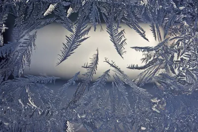 Узоры Мороза на окне (51 фото) - 51 фото