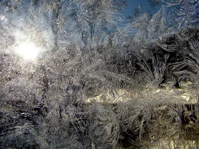 Зимние узоры на стекле :: Виктор Фельдшеров – Социальная сеть ФотоКто