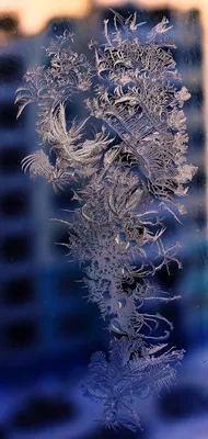 Зимние узоры Игольчатые прозрачные …» — создано в Шедевруме