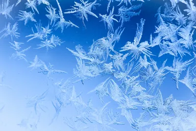 Снежный узор на стекле зимние морозные узоры на стекле кристаллы льда или  холодный зимний фон ai | Премиум Фото