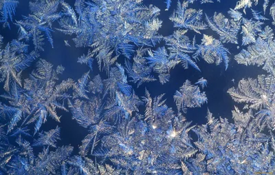 Ледовый период», зимние узоры на стекле | Картины, Узоры, Рождественские  изделия