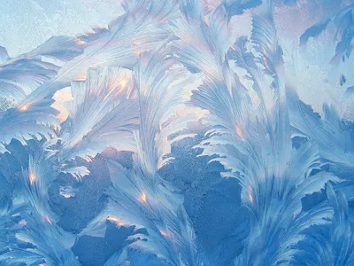 Oh, wonder - Зимние узоры на стекле, нарисованные морозом | Facebook