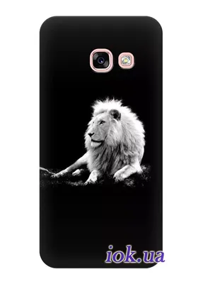 Обои для iPhone | Фотографии животных, Котята, Рисунки животных