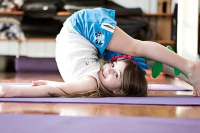 Йога для начинающих - лучшие асаны для занятий новичков в домашних  условиях, смотреть видеоуроки - Студия йоги Чакра