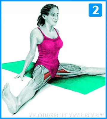 20 упражнений для растяжки ног | Full body stretch, Yoga anatomy, Body  stretches