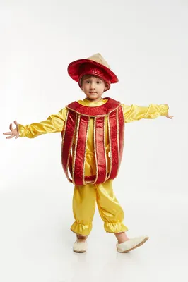 Карнавальные костюмы для детей - обзор от специалистов интернет магазина  карнавальных костюмов Berito.ru
