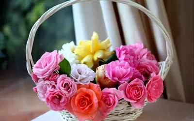 Цветы фото красивые розы на рабочий стол: фото, изображения и картинки