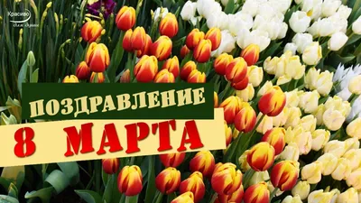 Красивые цветы для девушки - Скачайте на Davno.ru