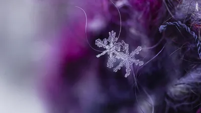 Обои снежинки, кристаллы, лед, макро картинки на рабочий стол, фото скачать  бесплатно