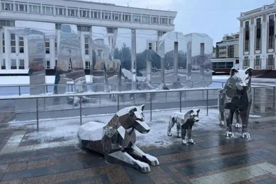 В центре Тамбова установили композицию волков из стали | ИА  “ОнлайнТамбов.ру”