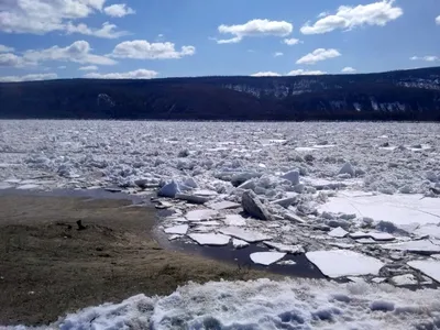 Начался ледоход на реке Печора в районе п. Троицко-Печорск | Комиинформ