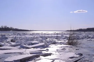 Ледоход на реке Великой в Пскове ожидается 25-29 марта