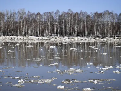 Зрелищный ледоход начался на одной из самых крупных рек Сахалина. Видео -  KP.RU
