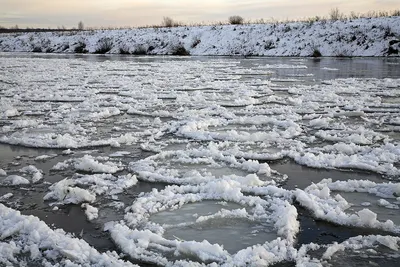 Краткосрочный ледоход: Ока в Кашире освободилась ото льда » Информационный  портал г. Кашира