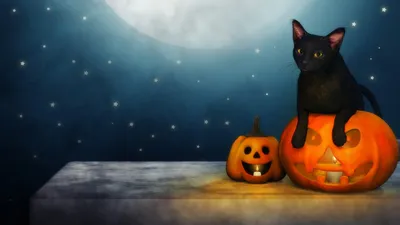 Купить 10/50 шт., наклейки с изображением кота на Хэллоуин, ведьминская  готическая черная кошка, ведьма, лунное Таро, бохо, милые наклейки на  Хэллоуин, скрапбук, бутылка, наклейка с граффити для телефона | Joom
