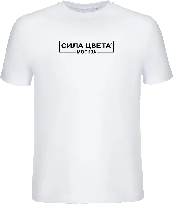 Нанесение логотипа на футболку - Аверс - футболки, рубашки поло, толстовки  оптом