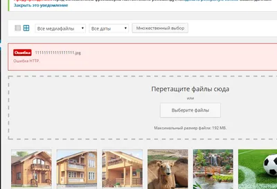 wordpress не отображаются превью картинок в медиа файлах (в админке) -  Stack Overflow на русском