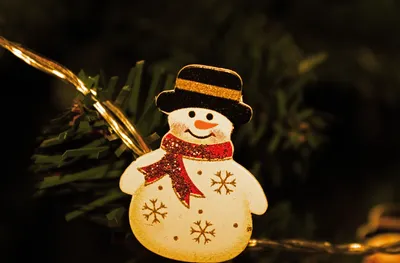 картинки : украшение, день отдыха, Рождество, новый год, Рождественская  елка, орнамент, Снеговик 5184x3412 - - 911973 - красивые картинки - PxHere