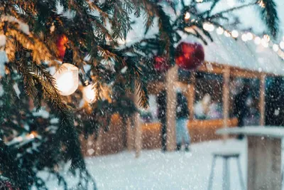 картинки : новый год, Рождество, рождественские украшения, Рождественский  орнамент, день отдыха, дерево, Вязание, Рождественская елка 1980x1325 -  ToryYu1989 - 1459995 - красивые картинки - PxHere