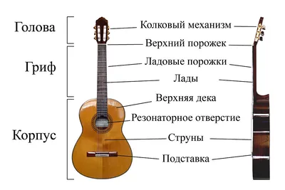 Как определять ноты на грифе гитары - Звук