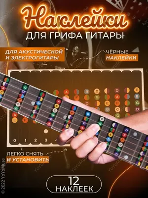 Обязательно для всех начинающих - выучить ноты на грифе! - guitar.theory -  Форум гитаристов