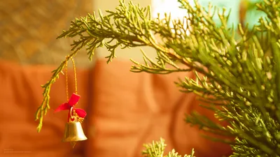 Обои на рабочий стол Новогодний интерьер: елка, камин, свечи, подарки в  праздничном духе, обои для рабочего стола, скачать обои, обои бесплатно