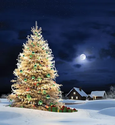 Новогодняя ёлка на фоне луны и деревенских домов — Картинки на аву