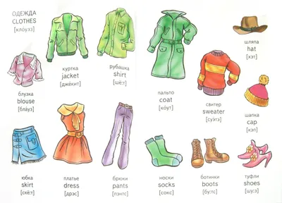 Одежда на английском языке - Онлайн ресурс английского языка для детей и  подростков