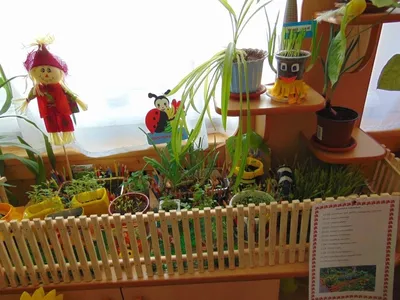 Огород на окне Черемышский детский сад - YouTube