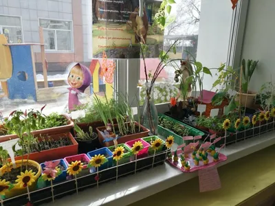 Огород на окне. Оформление своими руками - 3 Апреля 2019 - Детский сад №39