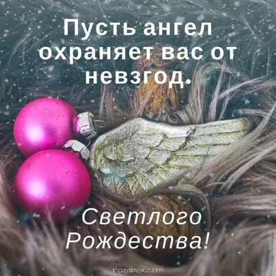 Счастливого рождества - стильные открытки - RozaBox.com | Открытки,  Рождество, Рождественские поздравления