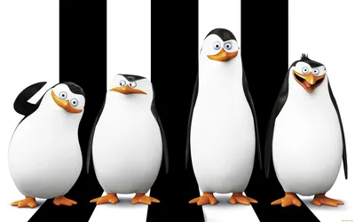 Обои The Penguins of Madagascar Мультфильмы The Penguins of Madagascar,  обои для рабочего стола, фотографии the penguins of madagascar,  мультфильмы, пингвины, мадагаскара Обои для рабочего стола, скачать обои  картинки заставки на рабочий